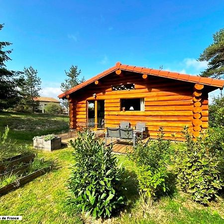 Pialous:Chalet En Rondins Avec Espace Detente La Chapelle-d'Aurec Εξωτερικό φωτογραφία