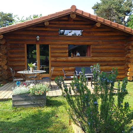Pialous:Chalet En Rondins Avec Espace Detente La Chapelle-d'Aurec Εξωτερικό φωτογραφία