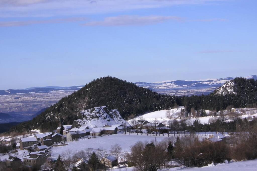 Pialous:Chalet En Rondins Avec Espace Detente La Chapelle-d'Aurec Εξωτερικό φωτογραφία