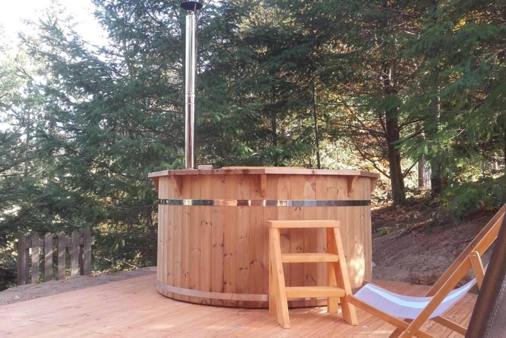 Pialous:Chalet En Rondins Avec Espace Detente La Chapelle-d'Aurec Εξωτερικό φωτογραφία